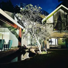 Strategic landscape lighting is one of our key services. Here, uplighting on a feature tree creates a dramatic focal point, reflecting beautifully in the nearby water and adding depth and intrigue to the garden at night.