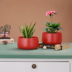 I love how this pair of vibrant red metal planters adds a pop of color to any space. They are perfect for housing easy-care indoor plants like the Snake Plant and Gerbera Daisy shown here, making them a simple yet elegant decor upgrade or gift.