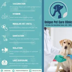 This is a look at the preventative care I believe in, from essential dog vaccinations to regular vet visits. I bring these services to your home, ensuring your best friend gets the care they need in a familiar, stress-free environment.