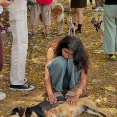 A quiet moment of care amidst the excitement of an adoption drive. Here, a volunteer comforts two rescued puppies as they rest. It takes a community of kind hearts to do this work, and every person who fosters, volunteers, or donates is a hero.