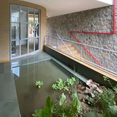 The making of the entry-level water body, or 'pond'. In collaboration with an ecological gardener, we introduced a mix of indigenous marsh species and used a tailored potting mix to create a thriving, self-sustaining habitat for local fauna.
