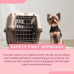 A small dog sits next to an IATA-compliant carrier. Our safety-first approach means we only use the most reliable and secure equipment for transporting your furry friends.