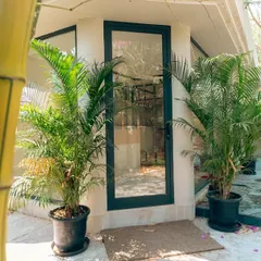 The entrance to the office is framed by bamboo and potted palms. The glass door reflects the surrounding greenery, immediately establishing a calm and biophilic atmosphere.