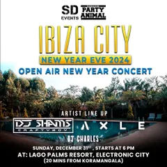 Ringing in the New Year at the 'Ibiza City 2024' open-air concert. It was an unforgettable night of music under the stars.