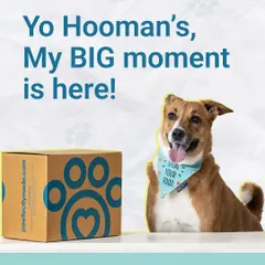 The big moment is here! Sheru knows that box is filled with his favourite Pawfectly Made meals. That happy face says it all.