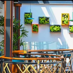 In collaboration with the designers of The Fixx pub, we created these wall-mounted planter boxes. The colorful frames and green foliage act as decorative art pieces, contributing to the pub's modern and energetic atmosphere.