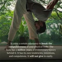 The body has its own deep-rooted patterns and compulsions. Through the adamant practice of asanas like this forward bend, we can begin to break these cycles and create a new possibility for our physical and mental health.
