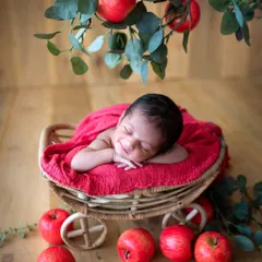 This is a final image from one of my recent workshops, shot by a student. You will learn how to create beautifully styled setups like this apple cart theme and leave with portfolio-ready images.
