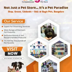 We're not just a pet store, we're a pet paradise. At our Bangalore locations, you can shop for premium products, get expert grooming services, and celebrate your pet. It's all here under one roof.