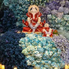 For this unique Ganesh Chaturthi decoration, I used a dense wall of blue and purple hydrangeas to create a stunning, textured backdrop. The vibrant red Ganesha idol stands out beautifully against the cool tones of the flowers.