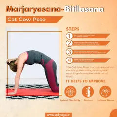 Here's how to practice the Cat-Cow Pose. This simple, flowing sequence is excellent for improving spinal flexibility, correcting posture, and relieving stress in the back and neck.