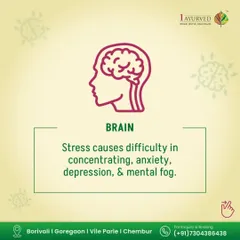 Chronic stress directly impacts the brain, leading to difficulty concentrating, anxiety, and mental fog. Our treatments, including Shirodhara and specific herbs like Brahmi, are designed to nourish the nervous system and clear these mental cobwebs.
