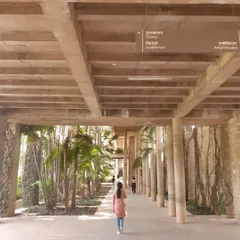 The iconic corridors of IIM Bangalore, designed by B.V. Doshi, where the line between building and landscape is blurred, with internal courtyards and greenery visible at every turn.