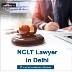 I am an experienced NCLT lawyer based in Delhi, familiar with the procedures of the National Company Law Tribunal. This visual represents my direct experience and focus on handling cases within this specific legal forum.