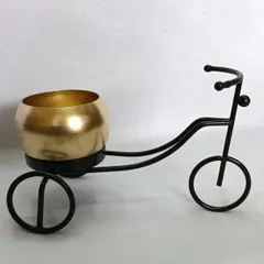 A decorative mini tricycle planter with a metallic gold pot. This charming piece is perfect for holding a small succulent or air plant on a desk or shelf.