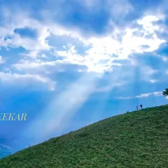 This aerial shot from a pre-wedding shoot in Chikmaglur shows how I use drone videography to create epic, scenic portraits that make a couple's story feel larger than life.