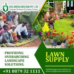 My team, 'majhi manas', at work. We provide complete landscape solutions, including lawn supply and installation, with experienced hands ensuring quality results.