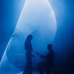 A perfect proposal moment captured mid-dance. I love incorporating these personal, romantic gestures into the choreography to make the performance even more special for the couple.