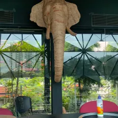 The finished cardboard elephant head, now a permanent resident at our studio. This piece has traveled to several events and serves as a great example of a reusable, high-impact installation for any occasion.