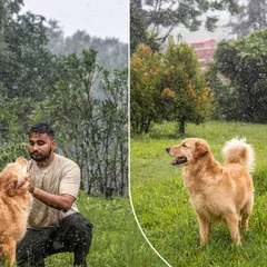 A collage from our rainy day shoot with Mango the Golden Retriever. These images show the beauty of embracing the weather and capturing authentic, joyful moments.