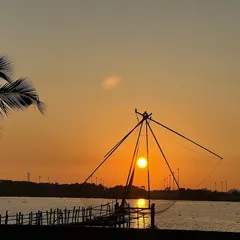 A wider view of the Kochi sunset, with a palm tree framing the scene. The warm, golden light reflects beautifully on the water, creating a peaceful and tropical atmosphere.