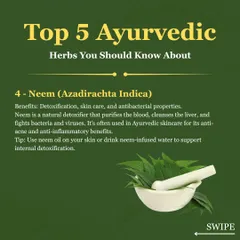 Neem is a natural detoxifier with potent antibacterial properties. It purifies the blood, cleanses the liver, and is excellent for skin care, especially for managing acne, due to its anti inflammatory benefits.