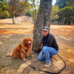 It's never too late to learn. This is Lyla, a 6-year-old Golden Retriever, who is still a puppy at heart and enjoying her training sessions.