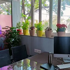 We believe a green office is a happy office. This is an indoor office garden setup we created, placing a variety of potted plants along the windowsill to bring natural beauty and fresh air into the workspace.