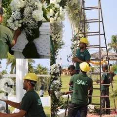 My team at work constructing a large floral wedding arch. This collage shows the scale of the production and the hands-on effort required to build these magnificent structures for a perfect wedding day.