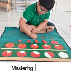 Mastering fractions, one piece at a time. The fraction skittles allow children to physically hold and manipulate parts of a whole, helping them intuitively grasp what one-half, one-third, and one-quarter really mean.