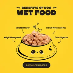 Wet food is a great way to keep your pet hydrated and is often easier to digest. Learn about its benefits, such as enhanced flavor and being rich in protein and fat.