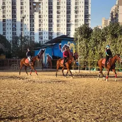 A group of intermediate riders practices together in the arena under the watchful eye of an instructor. Group lessons are a great way to learn and stay motivated.