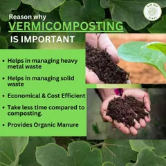 We use vermicomposting to create rich, organic manure for our soil. This natural process is cost-effective, helps manage waste, and provides all the nutrients our plants need to grow strong and healthy.