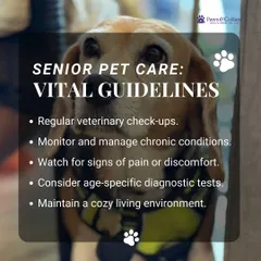 We've created a vital checklist for senior pet care to help you provide the best support for your aging friend. This includes regular veterinary checkups, monitoring chronic conditions, watching for pain, and maintaining a cozy living environment.