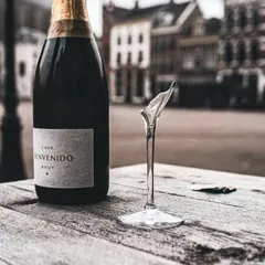 An example of our creative beverage photography. This artistic shot of a wine bottle and a broken glass on a rustic table creates a powerful, story-driven image perfect for brand campaigns or editorial content.