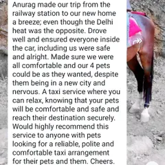 A wonderful review from a family I helped relocate with their four pets. Knowing they could relax because their pets were safe and comfortable means the world to me.