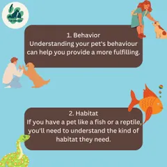Understanding your pet is the first step to providing a fulfilling life. This includes learning about their behavior and, for pets like fish or reptiles, their specific habitat needs.