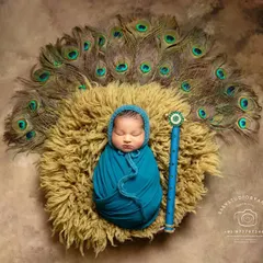 This is one of my favorite poses for the Krishna theme, showing the baby swaddled snugly in a beautiful blue wrap, resting on a textured nest with a fan of peacock feathers behind them.