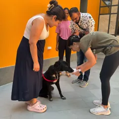 A handler transfer session taking place at our center. The bright orange wall and clean floors are part of our welcoming environment.