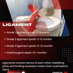 Ligaments provide joint stability, and their healing time varies significantly with the severity of the sprain. A mild Grade 1 sprain may take 2-8 weeks, while a full Grade 3 tear or surgical repair can take 6-12 months or more.