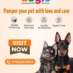 At Augie Pet Store, I believe every pet deserves the best. From gentle grooming and premium food to quality accessories and expert care, we have it all under one roof.