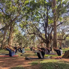 The whole group moving into Ubhaya Padangusthasana (Both Big Toe Pose). It’s a powerful sight, seeing everyone working on their core strength and balance together under the canopy of trees.