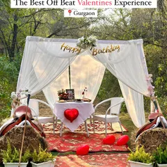 We create more than just rides; we create memories. This is a look at our private, romantic setup in the forest, perfect for celebrating birthdays, anniversaries, or simply making any day special after a beautiful trail ride.