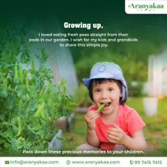 I remember the simple joy of eating fresh peas straight from the pods. I want to help you pass down these precious memories and tastes to your children with your own organic garden.