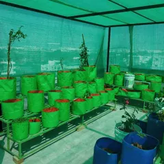 For those who love to grow their own vegetables or flowers, we can set up a terrace garden with grow bags and stands. This setup, under a green shade net, is perfect for urban farming.