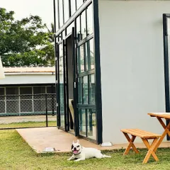 Stitch enjoying the green space right outside our boarding facility. Dogs get plenty of outdoor time during their stay.