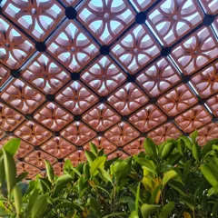 A close-up of a terracotta jaali (screen) ceiling, with lush green foliage below. The intricate pattern of the screen filters the sunlight, creating a beautiful dappled light effect while celebrating a traditional, earthy material.