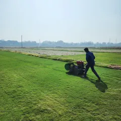 Our specialized equipment in action, carefully trimming the turf to the perfect height before harvesting. This step is crucial for ensuring uniformity and health in every roll of grass we supply.