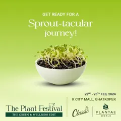 Get ready for a sprout-tacular journey with us at The Plant Festival. We'll be there with plants, pots, organic produce, and free workshops on everything from composting to microgreens.