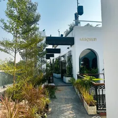 The same walkway at Miso Sexy seen during the day. We selected a variety of plants with different heights and textures to create a lush, layered border that feels vibrant and alive in the natural sunlight, offering a green welcome to daytime patrons.